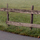 25941_thumb