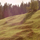 32546_thumb