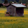 32566_thumb