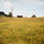 57200_thumb