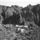 50710_thumb