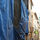69916_thumb