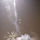 68664_thumb