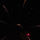 78679_thumb