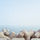 30097_thumb