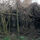 39880_thumb