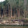 39881_thumb
