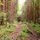 39888_thumb