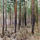 39889_thumb