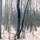 39890_thumb