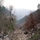39892_thumb