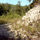39894_thumb