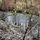 39898_thumb