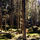 57301_thumb