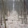 57302_thumb