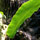 28015_thumb