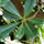 28016_thumb