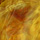 15291_thumb
