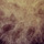 15297_thumb