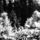 39789_thumb