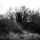 39792_thumb