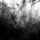 39793_thumb