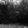 39794_thumb