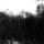 39795_thumb